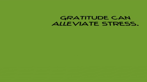 gratitude 2